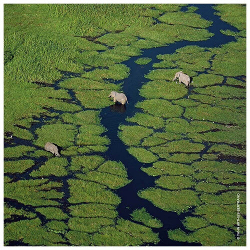 Aqua Allegoria Nettare Di Sole Eau de toilette Rechargeable 6