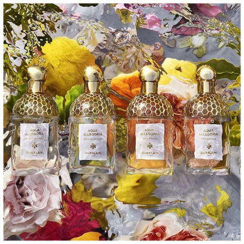 Aqua Allegoria Nettare Di Sole Eau de toilette Rechargeable 8