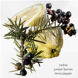 Terre d'Hermès Eau Givrée Eau de Parfum (6)