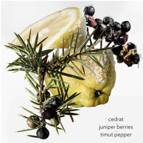 Terre d'Hermès Eau Givrée Eau de Parfum 6