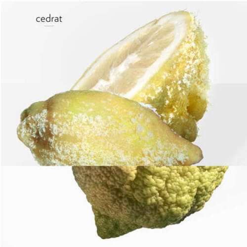 Terre d'Hermès Eau Givrée Eau de Parfum 4