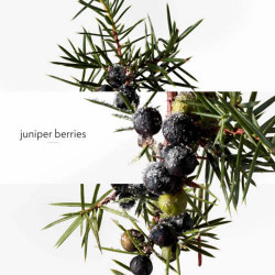 Terre d'Hermès Eau Givrée Eau de Parfum (5)