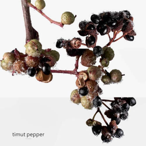 Terre d'Hermès Eau Givrée Eau de Parfum 7