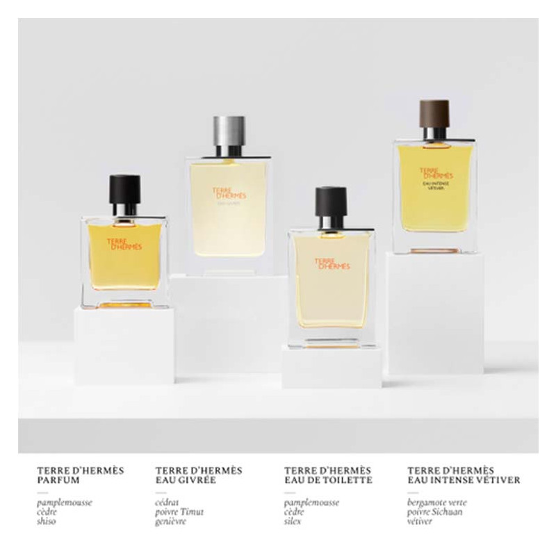 Terre d'Hermès Eau Givrée Eau de Parfum 8