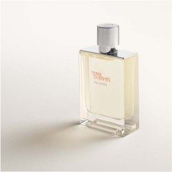 Terre d'Hermès Eau Givrée Eau de Parfum (2)