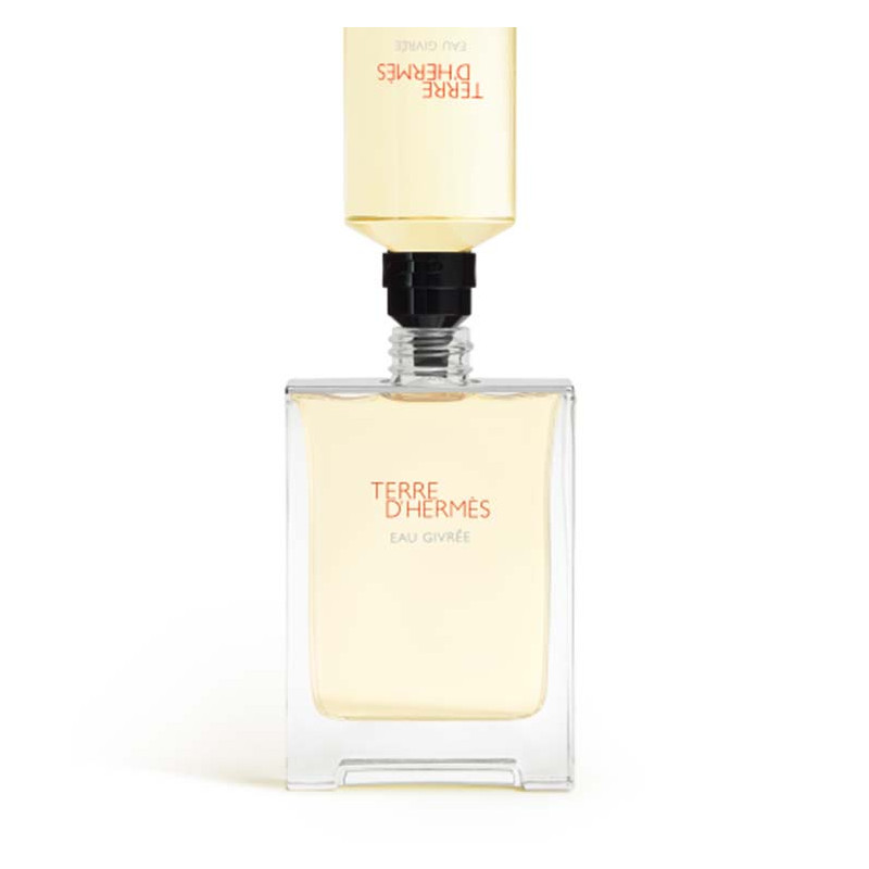 Terre d'Hermès Eau Givrée Eau de Parfum 3