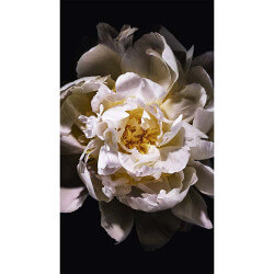 Mon Paris Lumière Eau de Toilette (8)