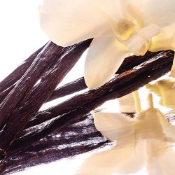 Shalimar Eau de Toilette (2)