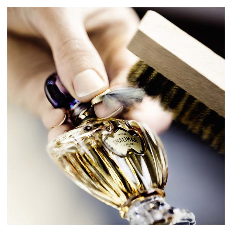 Shalimar Eau de Toilette 5