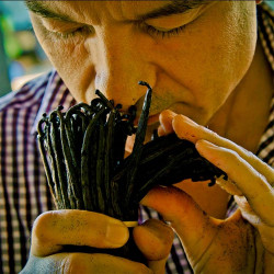 Shalimar Eau de Parfum (6)