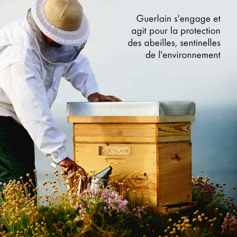 Abeille Royale 6