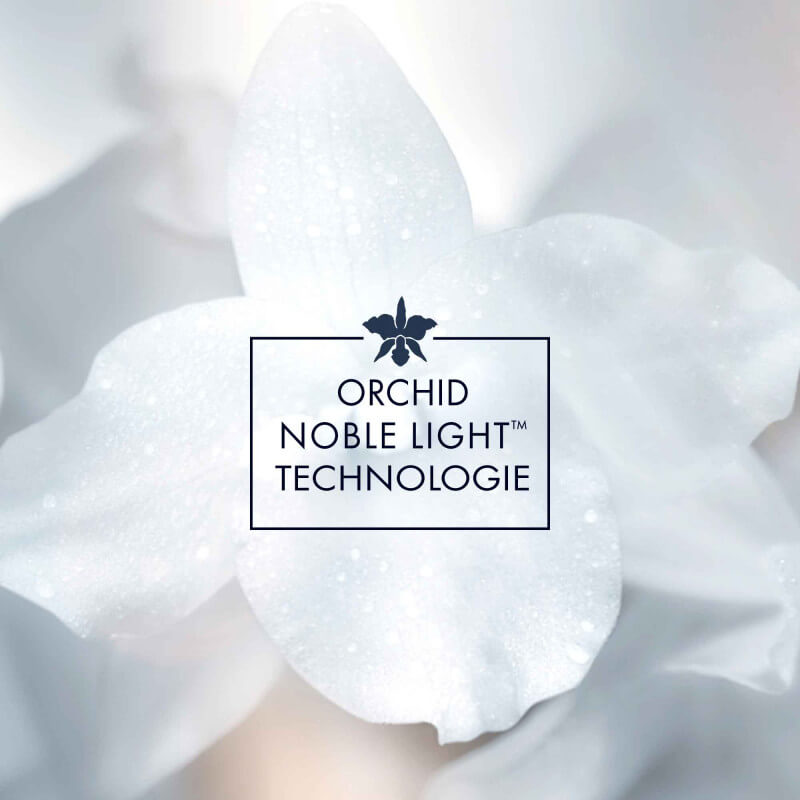 Orchidée Impériale 4