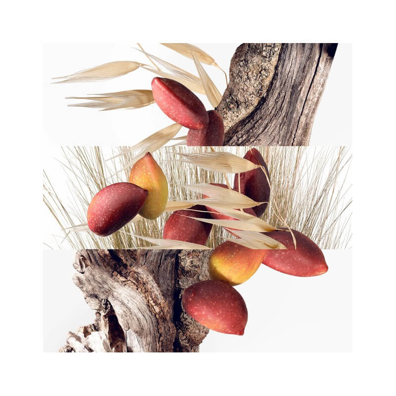 Un Jardin à Cythère Eau de Toilette 3