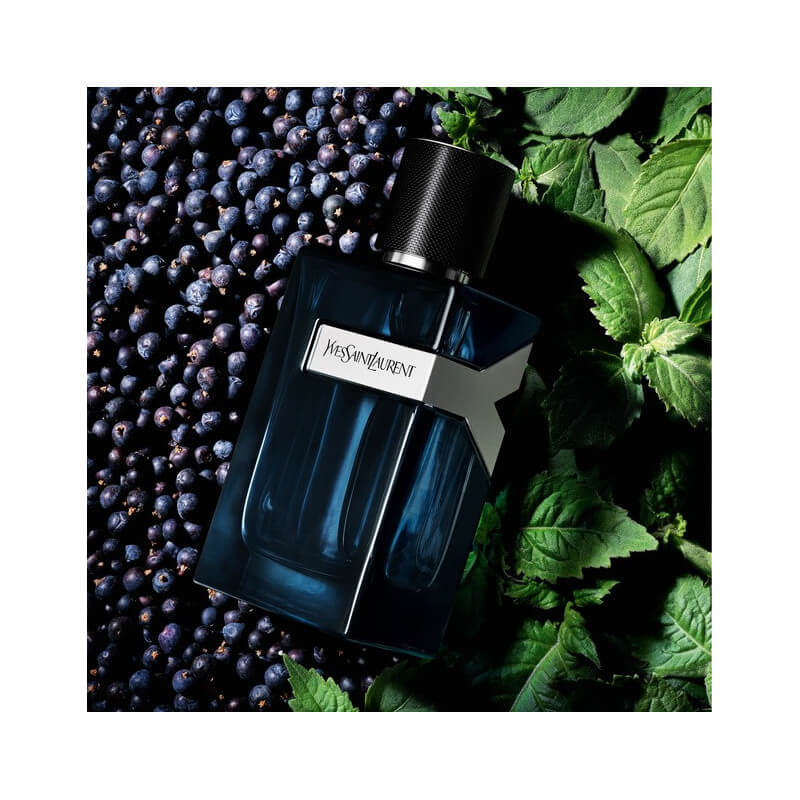 Y Men Eau De Parfum Intense 2