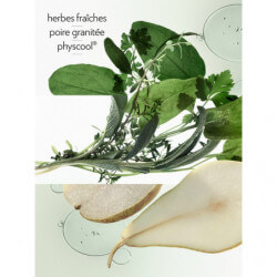 H24 Herbes Vives Eau De Parfum (4)