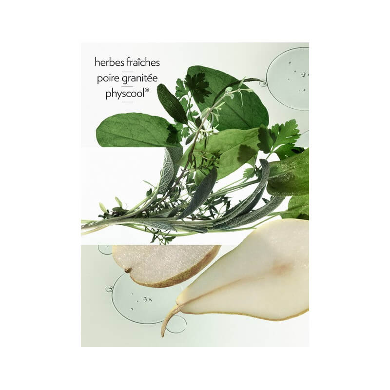H24 Herbes Vives Eau De Parfum 4