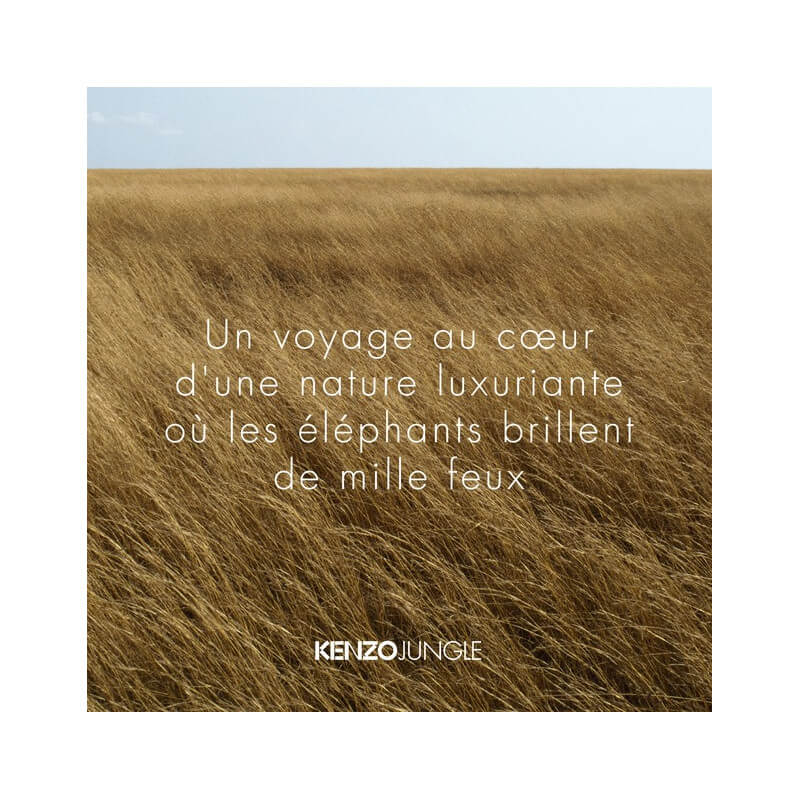 Kenzo Jungle Eau de Parfum 4