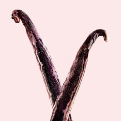 Flowerbomb Ruby Orchid Eau de Parfum (7)