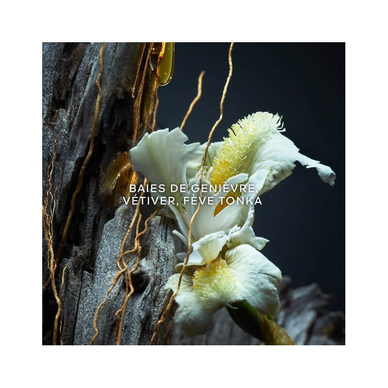 Vetiver Le Parfum Eau De Parfum 3