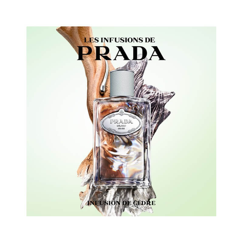 Infusion Cèdre Eau De Parfum Boisée Florale Puissante 3