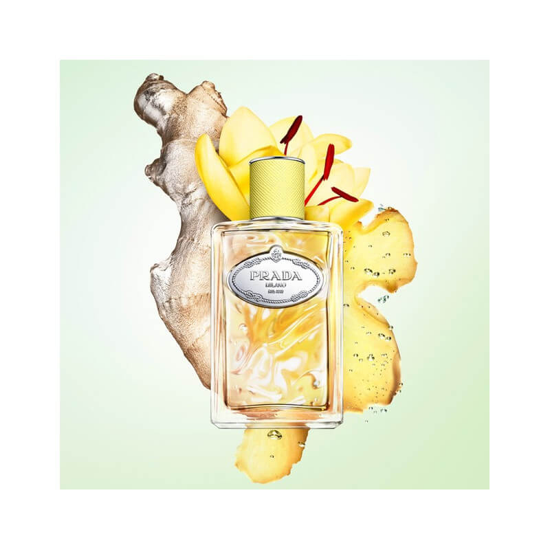 Infusion De Gingembre Eau De Parfum Vive Héspéridée Boisée Pour Homme Et Femme 3