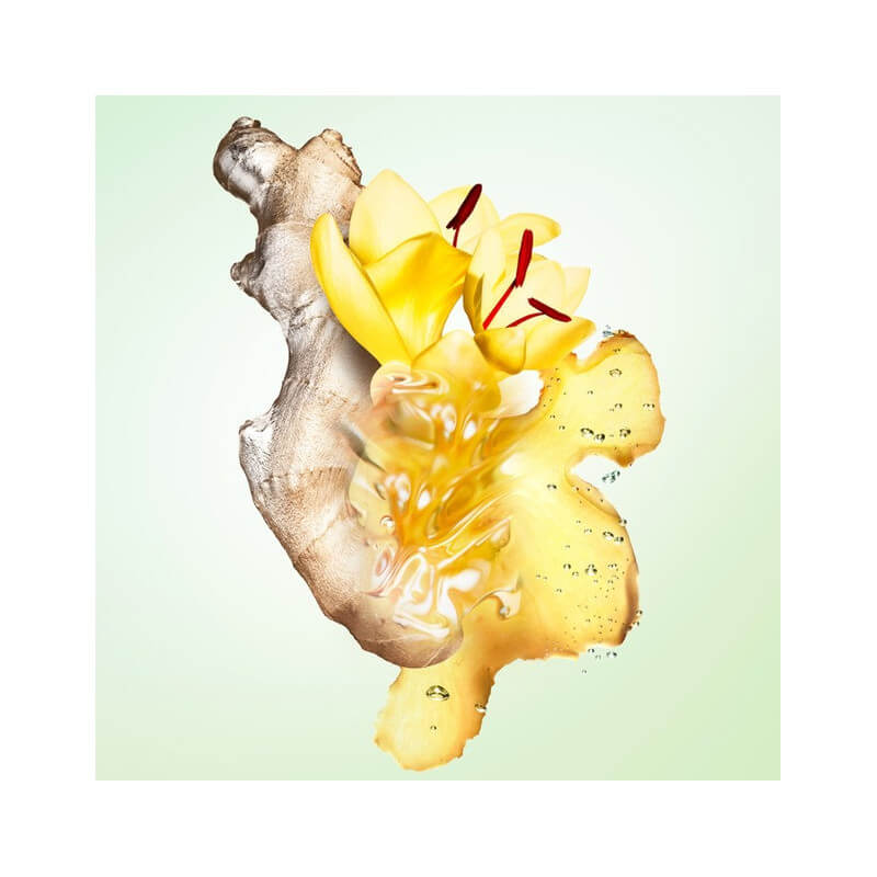 Infusion De Gingembre Eau De Parfum Vive Héspéridée Boisée Pour Homme Et Femme 4