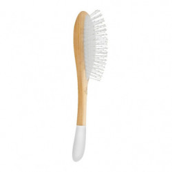 Brosse (2)