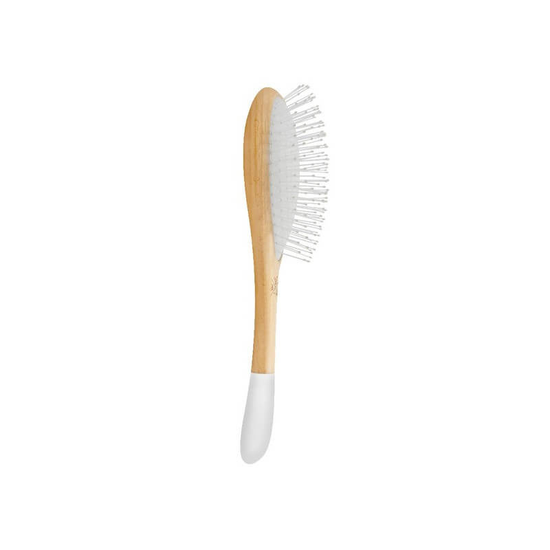 Brosse 2