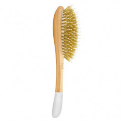Brosse (2)