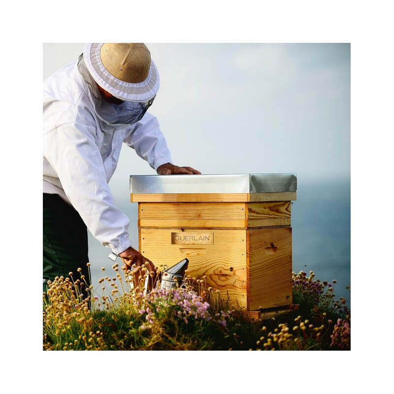 Abeille Royale 6