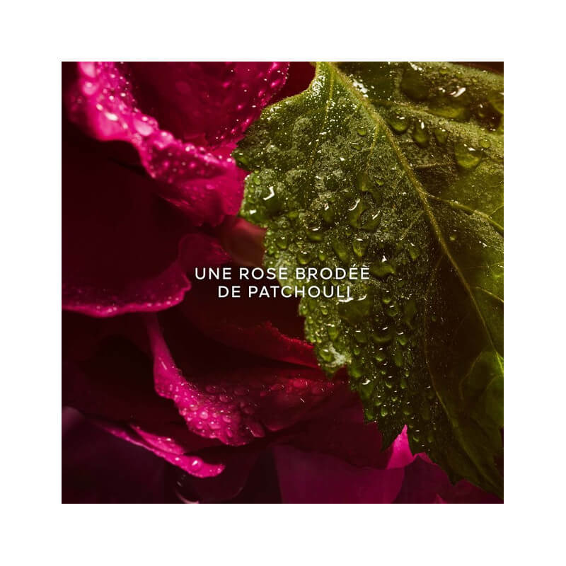La Petite Robe Noire Eau De Parfum Absolue 3