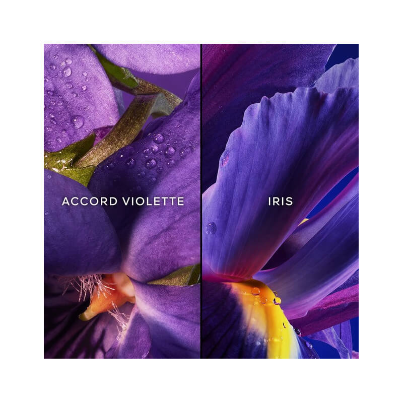 Insolence Eau De Parfum 3