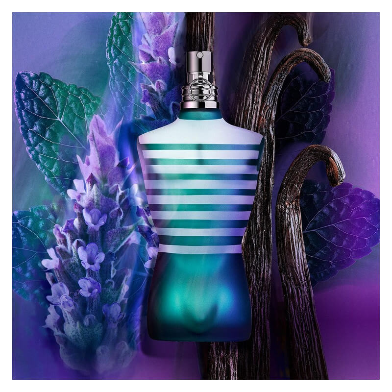 Le Male Eau De Toilette 3
