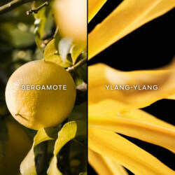 Terracotta Eau De Toilette (2)