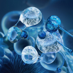 Life Plankton Regenerating (5)