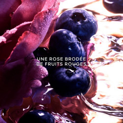 La Petite Robe Noire Eau de Parfum Intense (3)