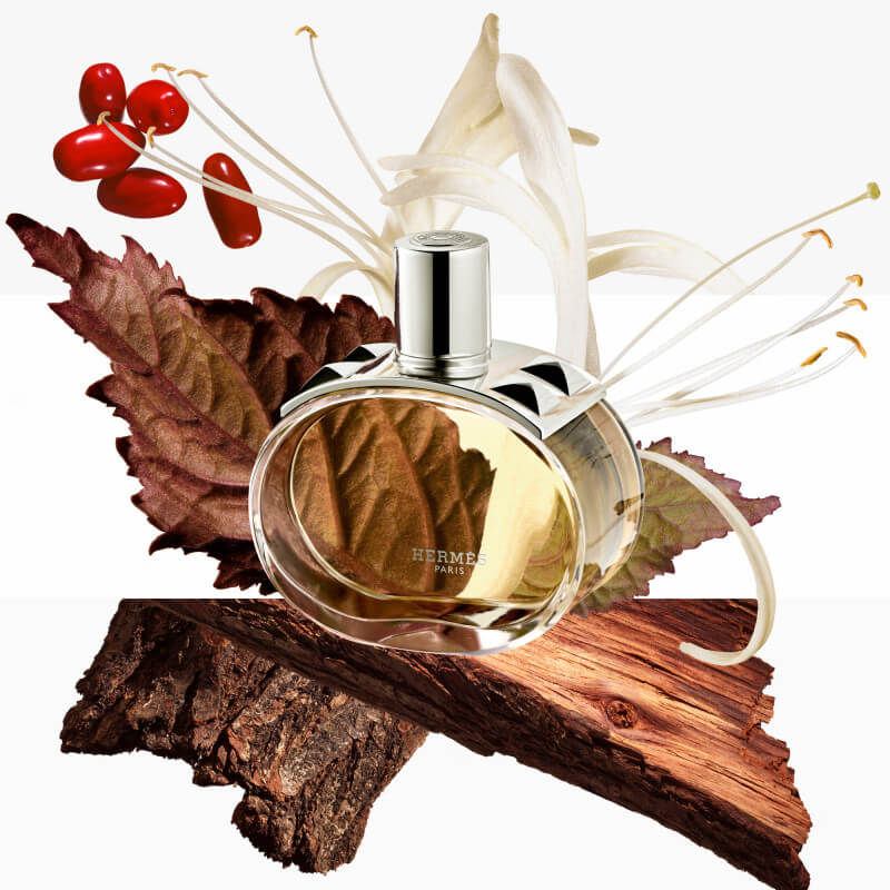 Barénia Brume Parfumée Pour Cheveux 5