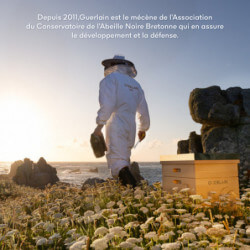 Abeille Royale Rituel Anti-Âge Honey Treatment Crème Jour - Coffret 2025 (7)