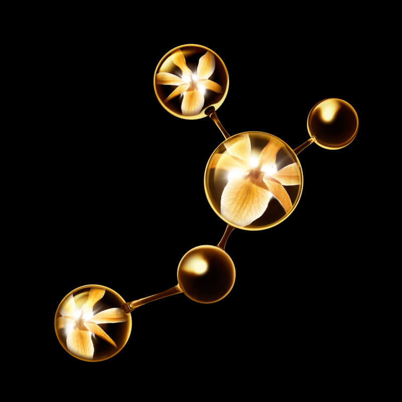 SUBLIMAGE 6