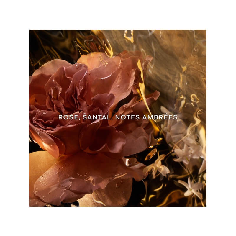 Les Absolus Allegoria Santal Royal - Eau De Parfum 3