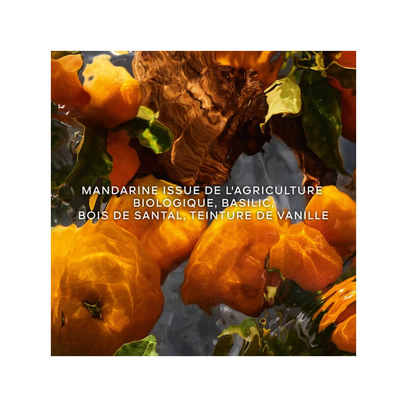 Aqua Allegoria Forte Mandarine Basilic Eau De Parfum 3