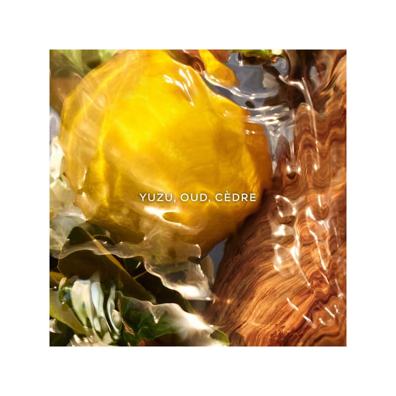 Aqua Allegoria Forte Oud Yuzu Eau De Parfum 3
