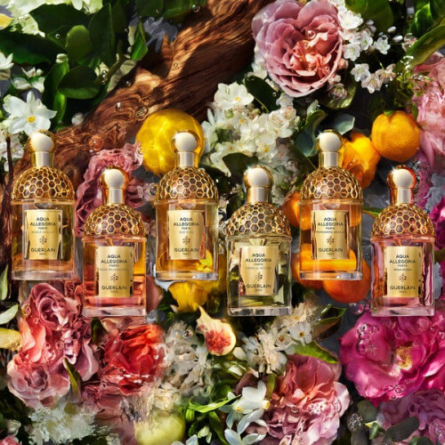 Aqua Allegoria Forte Oud Yuzu Eau De Parfum 7