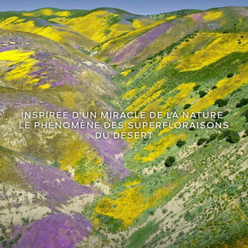 Aqua Allegoria Forte Florabloom Eau De Parfum 7