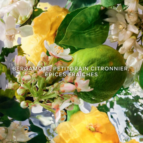 Aqua Allegoria Bergamote Calabria 3