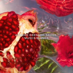 Aqua Allegoria Granada Salvia Eau de toilette Rechargeable (2)