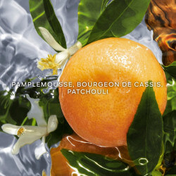 Aqua Allegoria Pamplelune Eau de toilette Rechargeable (2)