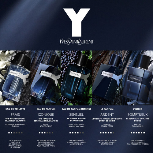 Y Men Eau de Parfum 8