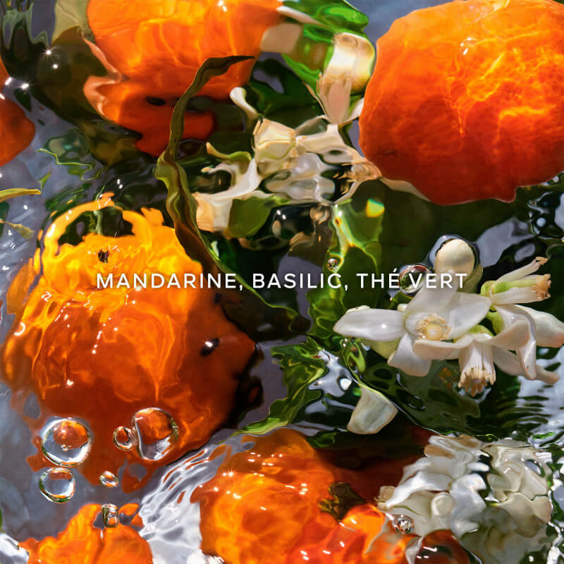 Aqua Allegoria Mandarine Basilic 4