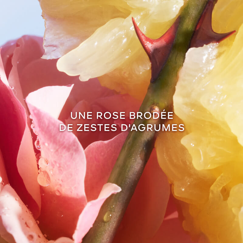 La Petite Robe Noire - Coffret Fête Des Mères 2025 5